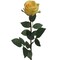 30" Yellow Rose Bud Stems (24-Pack) - Silk Foliage, Lifelike Flowers, Perfect for Bouquets, Events & Home Decor - Bright Year-Round Decoration, Floral Home by Artificial Flowers
